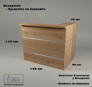 Recepcion Ejecutiva en Escuadra