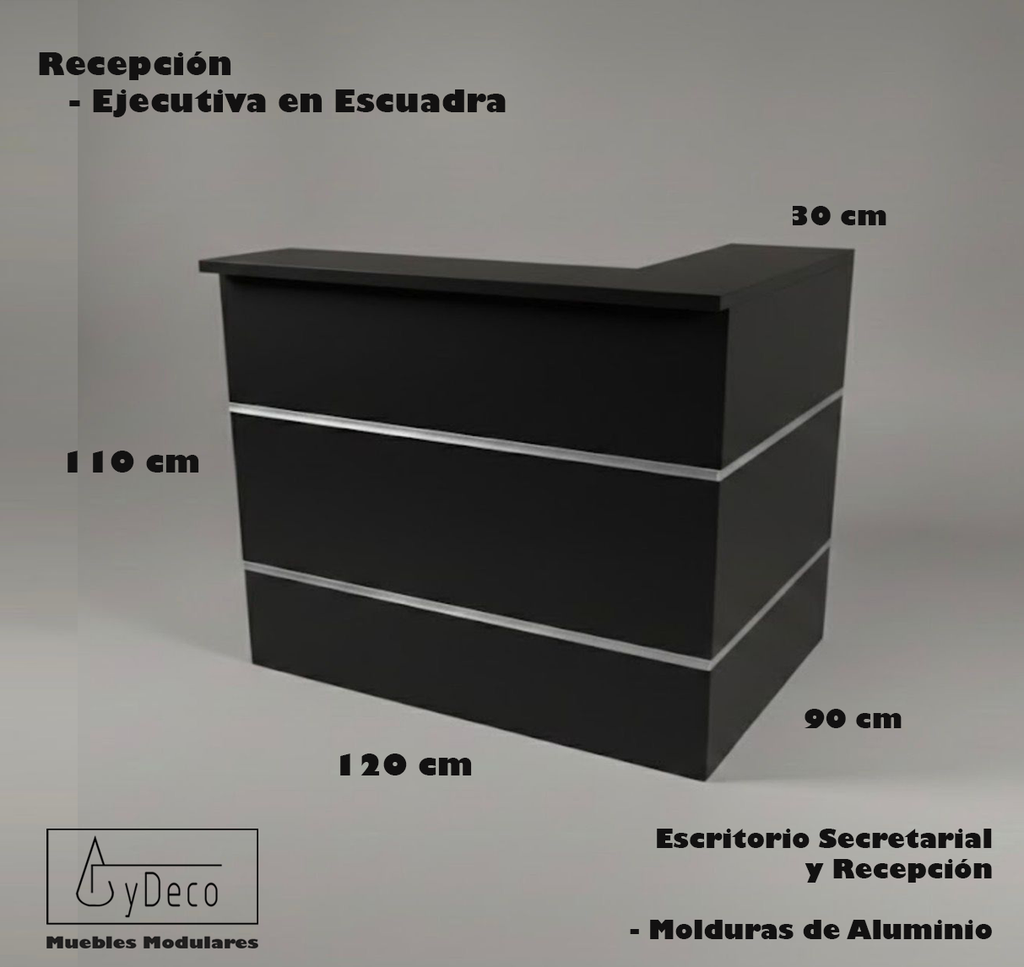 Recepcion Ejecutiva en Escuadra