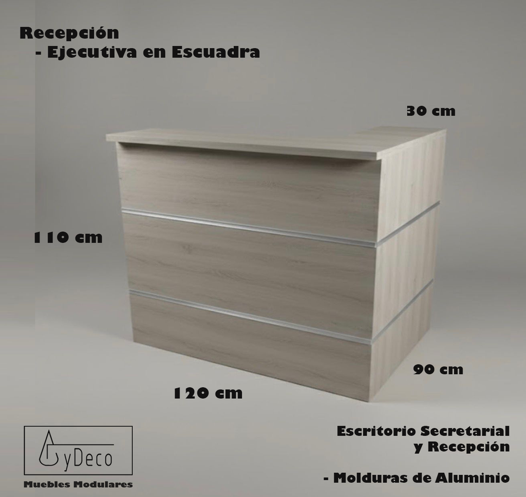 Recepcion Ejecutiva en Escuadra