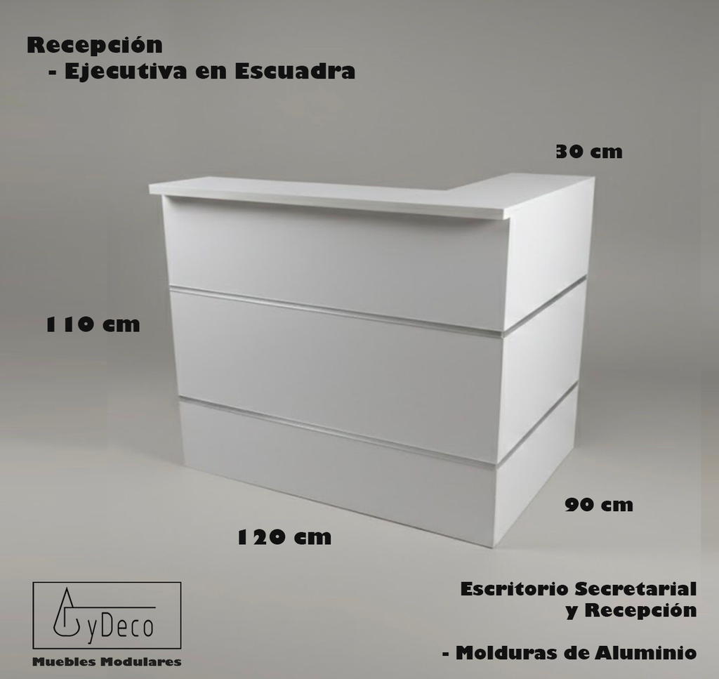 Recepcion Ejecutiva en Escuadra