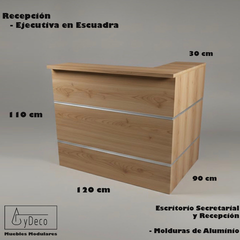 Recepcion Ejecutiva en Escuadra