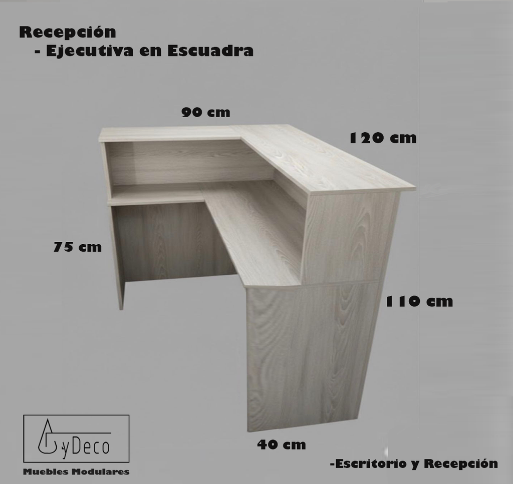 Recepcion Ejecutiva en Escuadra