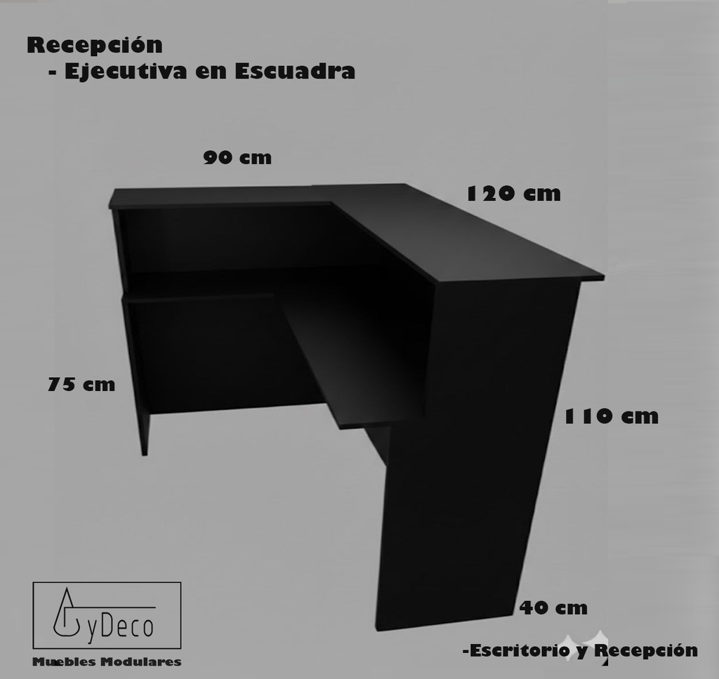 Recepcion Ejecutiva en Escuadra