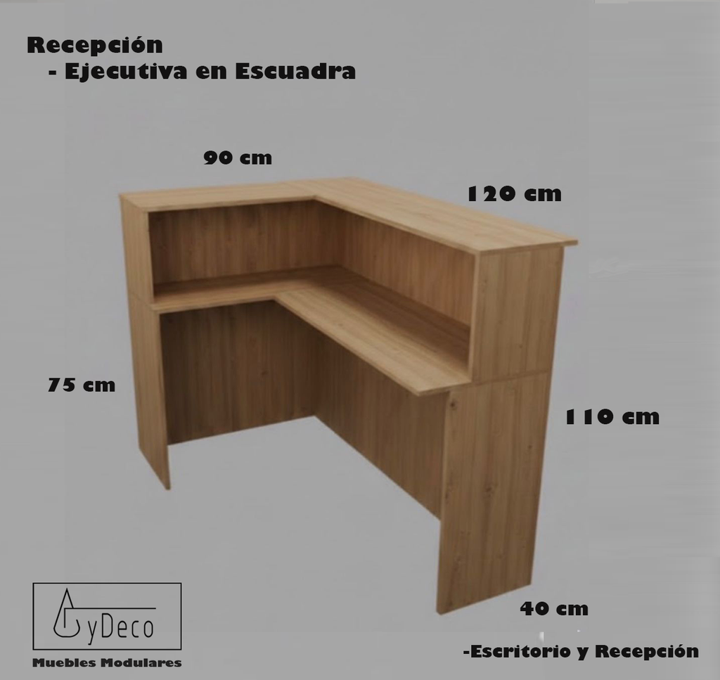 Recepcion Ejecutiva en Escuadra