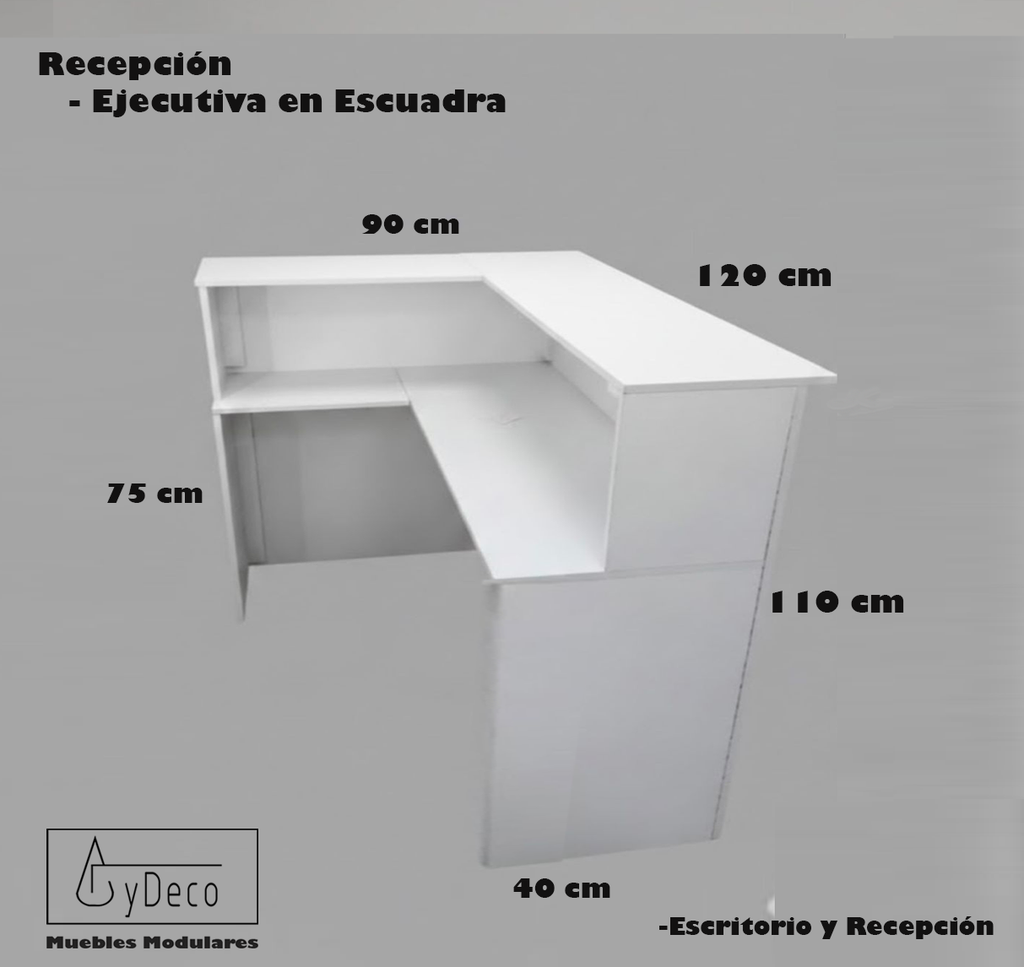 Recepcion Ejecutiva en Escuadra