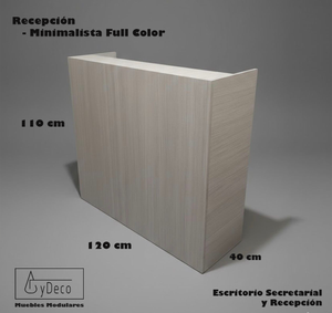 Recepción Minimalista Full Color