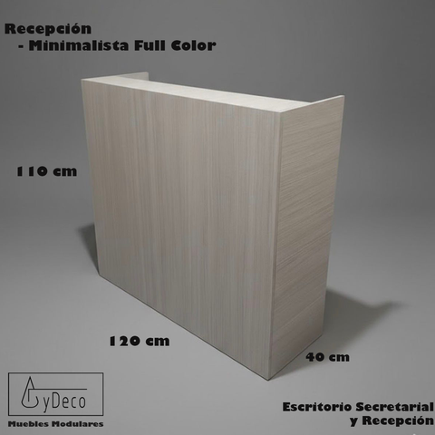Recepción Minimalista Full Color