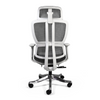 Silla Directiva Madagascar Blanca Envio Gratis (Compra en línea)