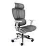 Silla Ejecutiva Montenegro Gris  Envio gratis (compra en línea)