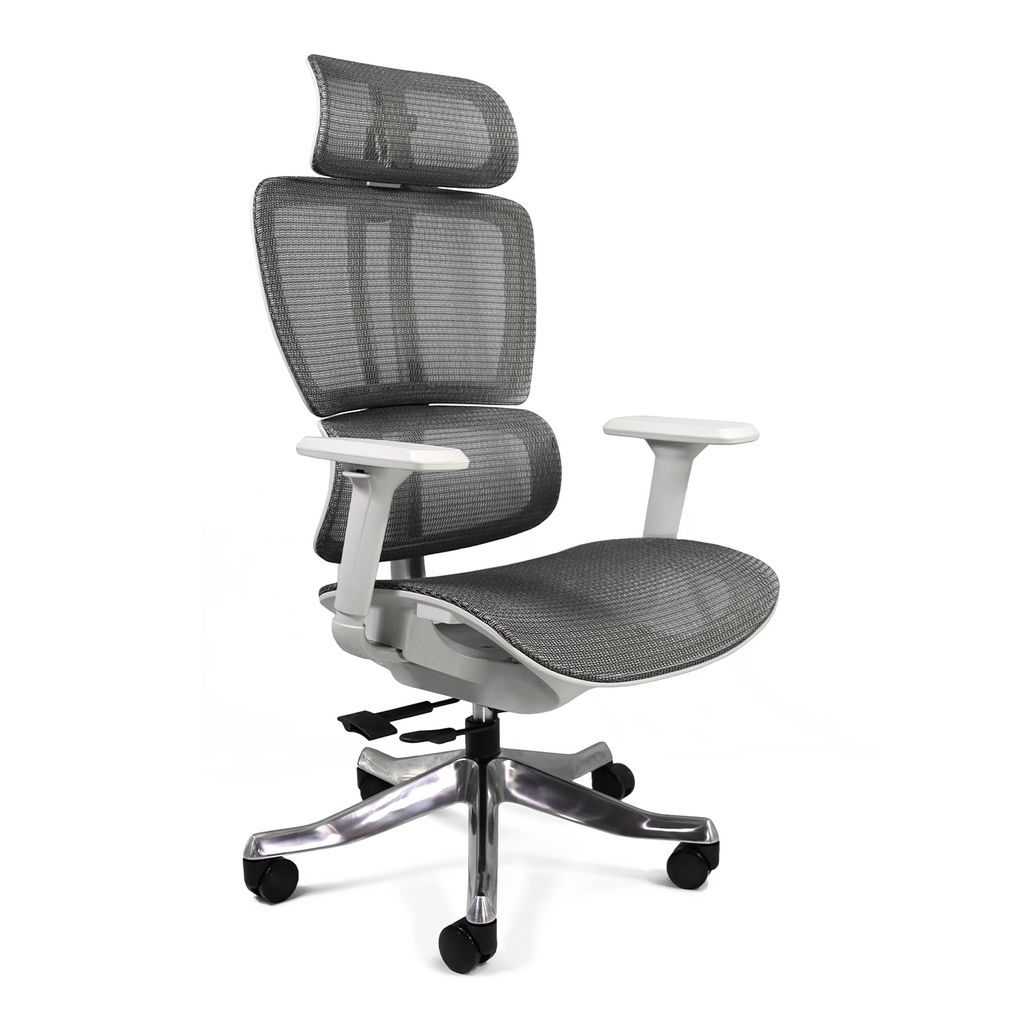Silla Ejecutiva Montenegro Gris  Envio gratis (compra en línea)