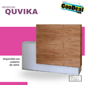 Recepción QUVIKA / Otros colores