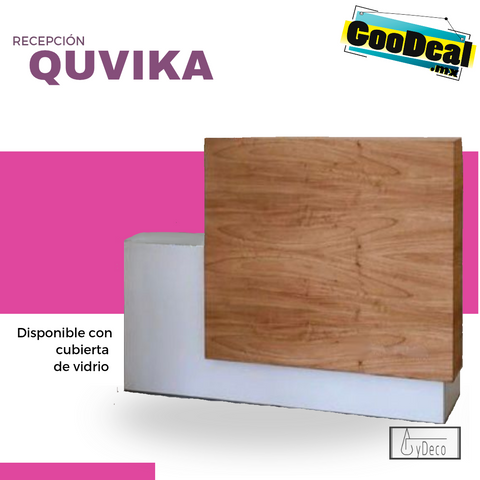 Recepción QUVIKA / Otros colores